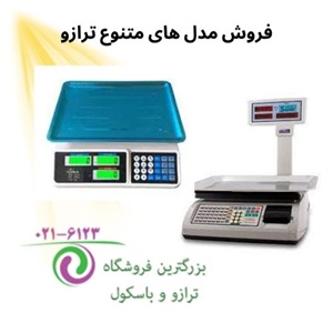 ترازو و اهمیت انتخاب درست در خرید انواع آن